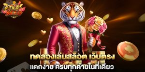 ทดลองเล่นสล็อต-เว็บตรง-แตกง่าย-ครบทุกค่ายในที่เดียว